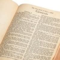 justmehomely year b|SUNDAY HOMILIES .